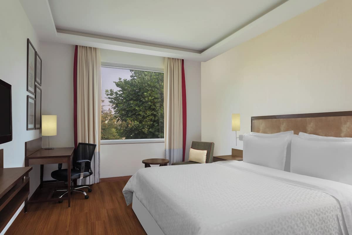 Premier-Zimmer, 1 King-Bett | Hochwertige Bettwaren, Daunenbettdecken, Select-Comfort-Betten, Minibar