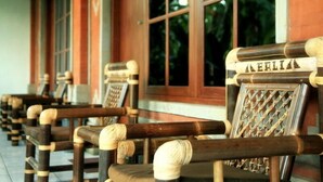 A row of wooden chairs with woven seat and backrest details, positioned in a covered outdoor area with large windows.