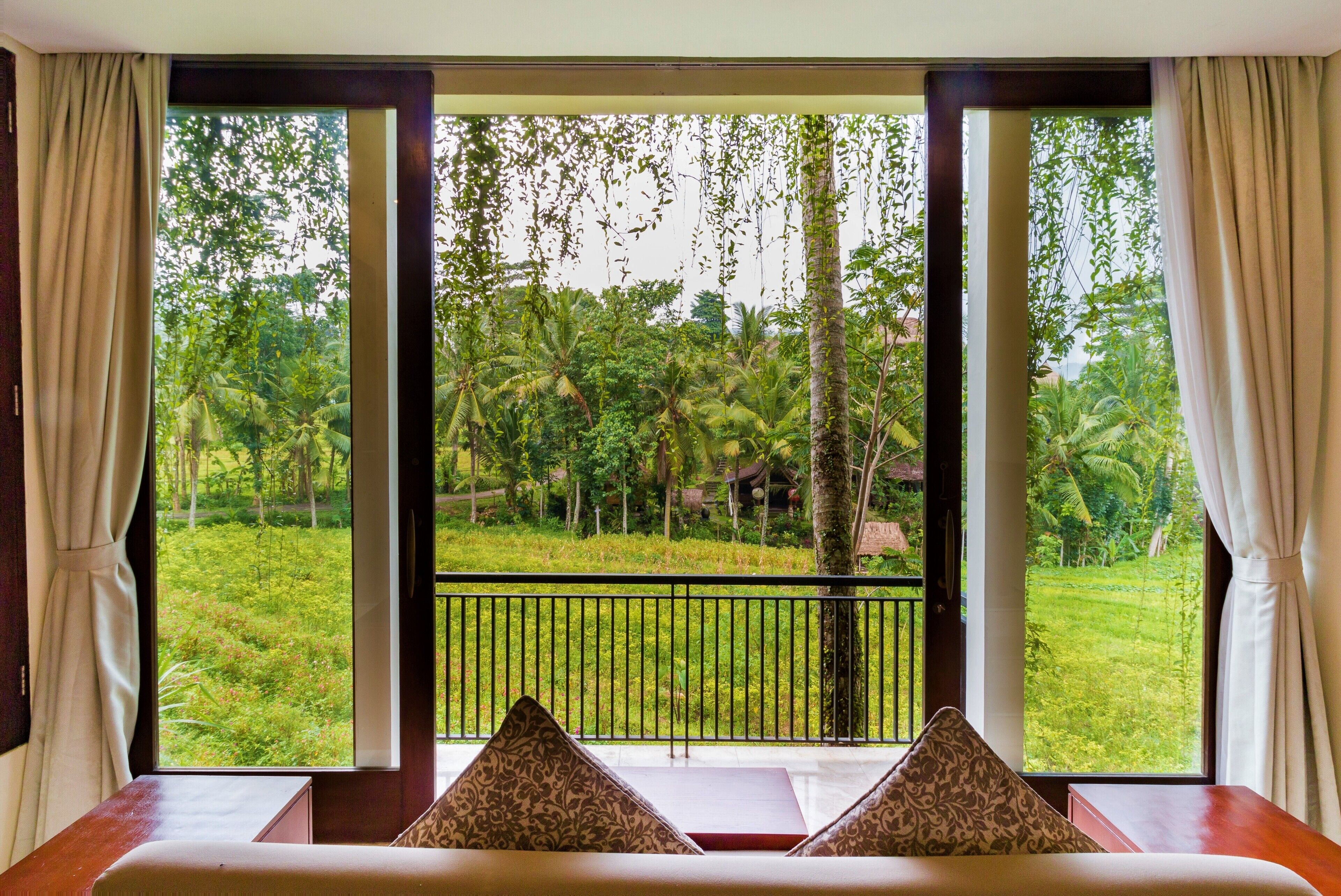 Rice Terrace Suite | View from room