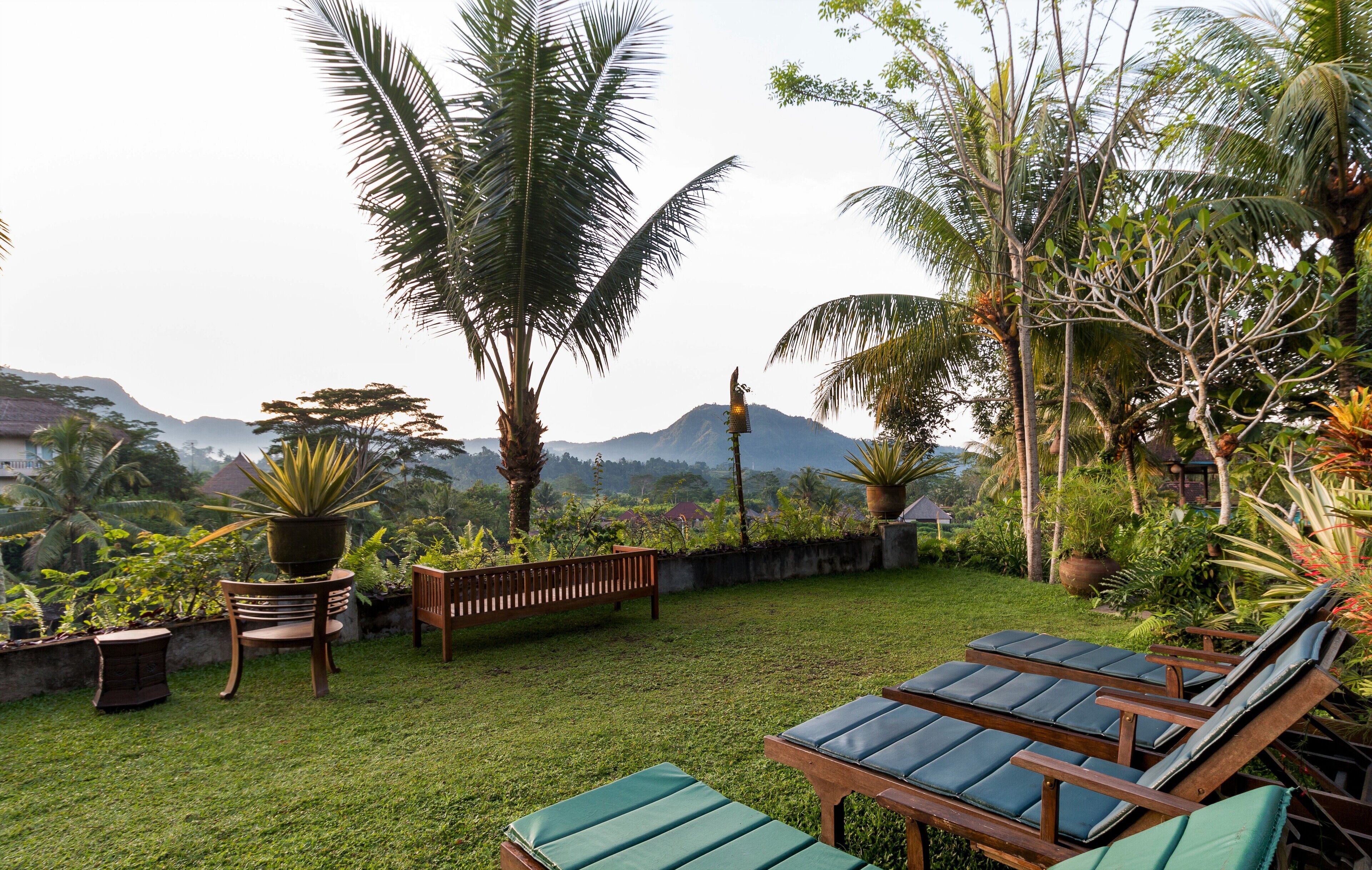 A garden with a wooden bench, lounge chairs, and potted plants.