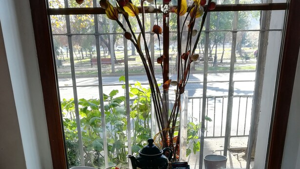 A breakfast table with various dishes and a teapot, set against a window with a view of a street and greenery. - SU Merced Boutique Hotel (SANTIAGO DE CHILE)
