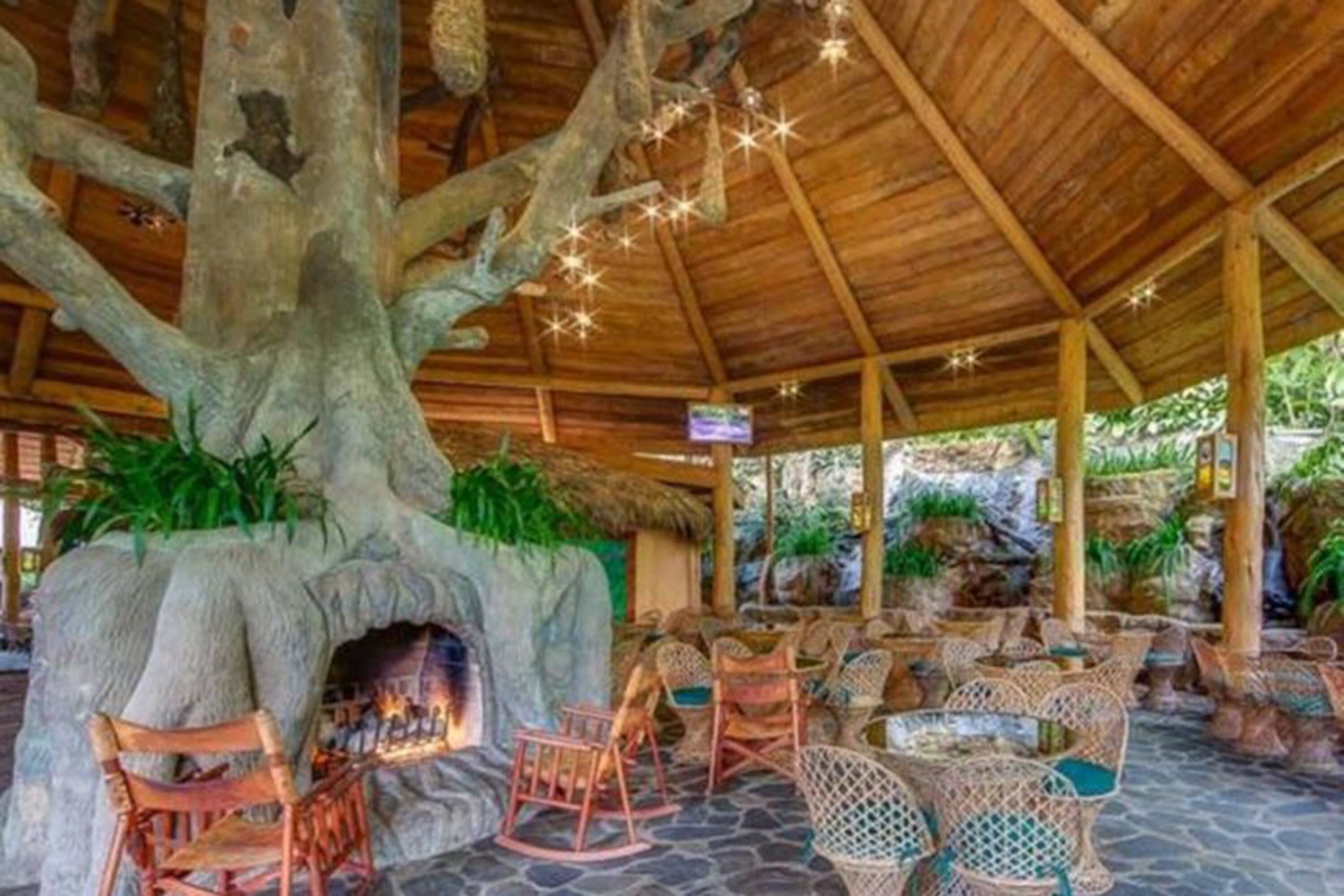 Un espacio exterior con mobiliario de mimbre, suelo de piedra y un gran tronco de árbol.