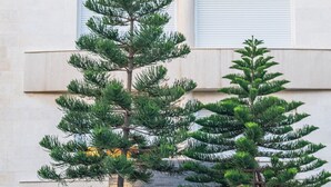 Exterior - Beer Garden Hotel (Tel Aviv)