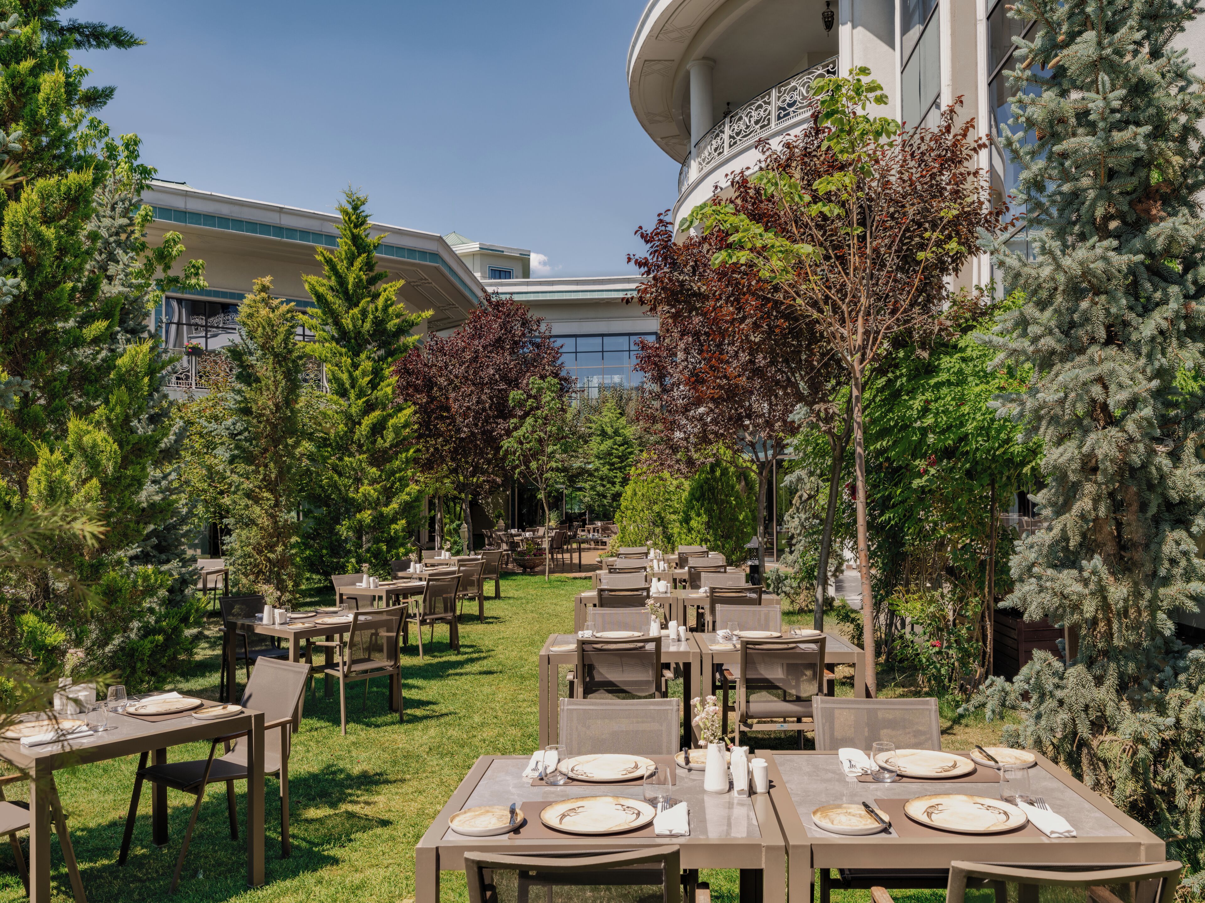 Un espace extérieur aménagé pour les repas, avec des tables et des chaises, entouré d’arbres et avec un bâtiment en arrière-plan.