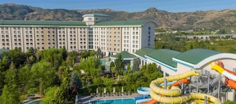 NG Afyon