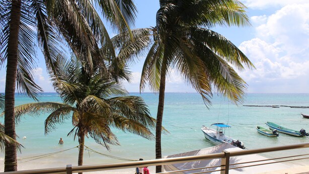 Une plage avec des palmiers, un ciel dégagé et des bateaux sur l’eau.