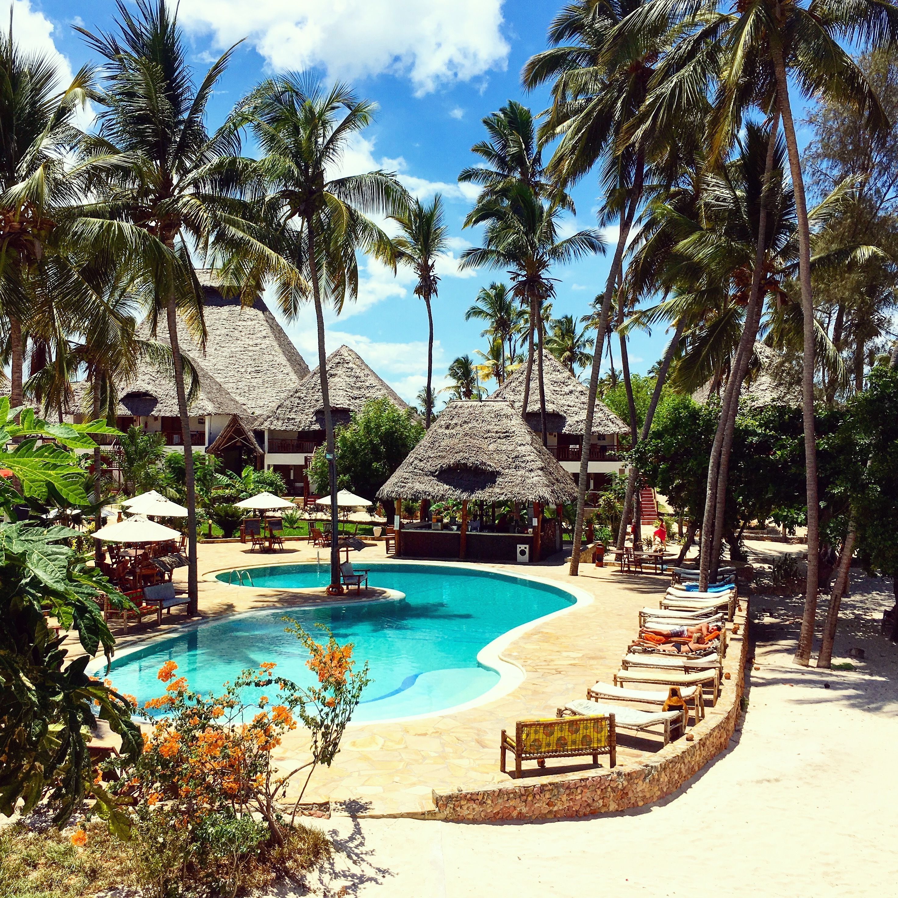 Una piscina al aire libre, sombrillas, sillones reclinables de piscina