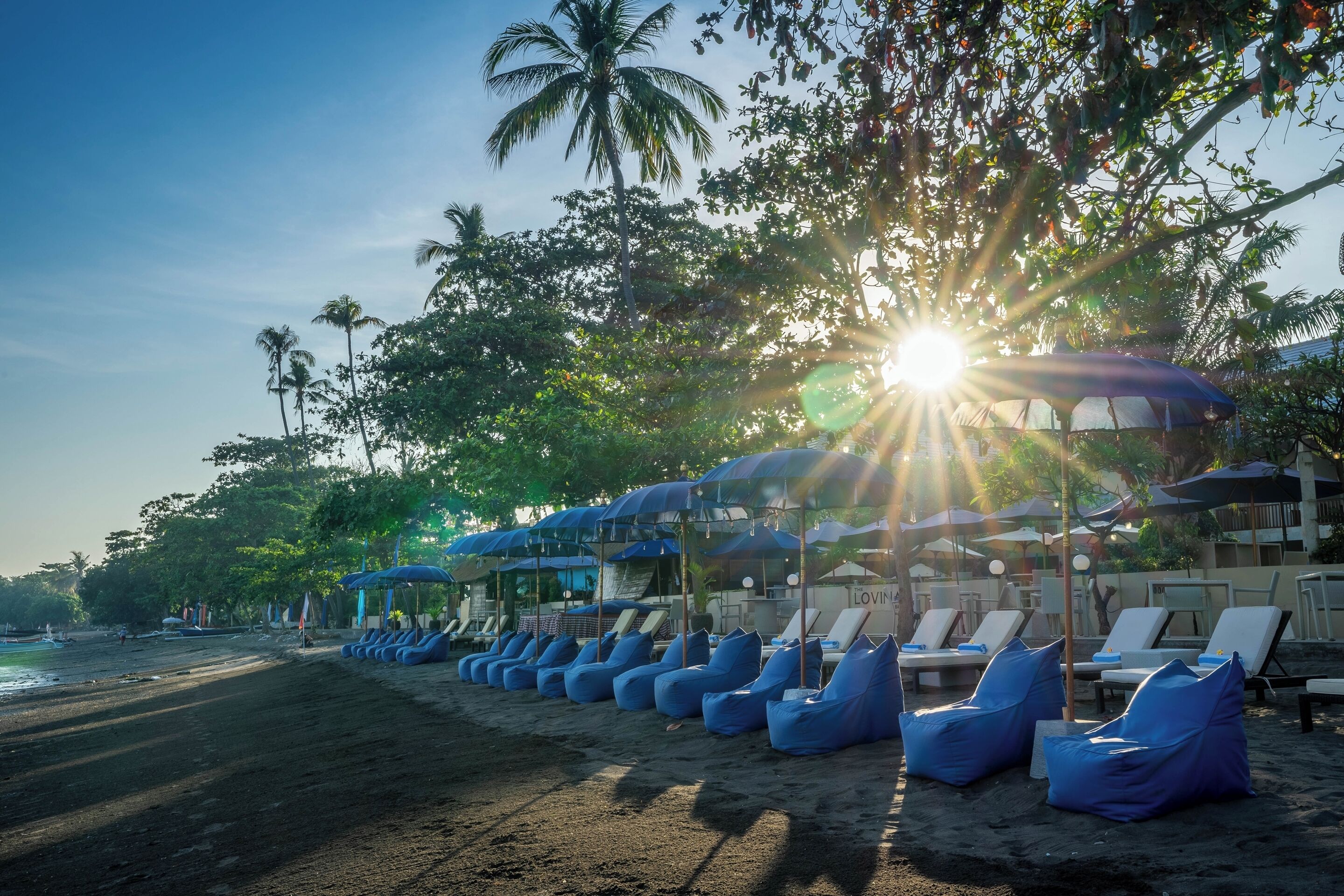 Un resort frente a la playa con filas de sillas de descanso y sombrillas, palmeras y un cielo despejado.