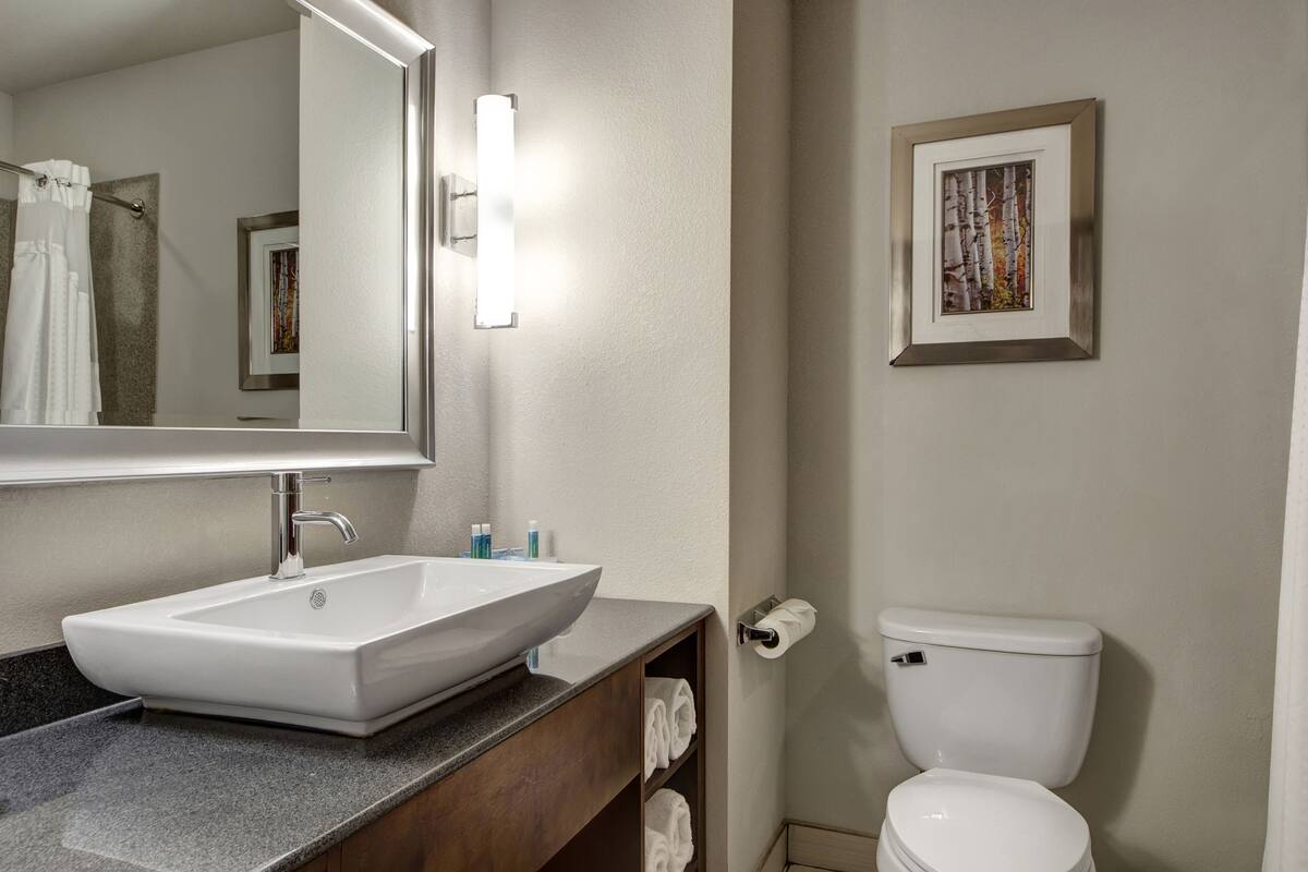 combined shower/bathtub, free toiletries, hair dryer, towels