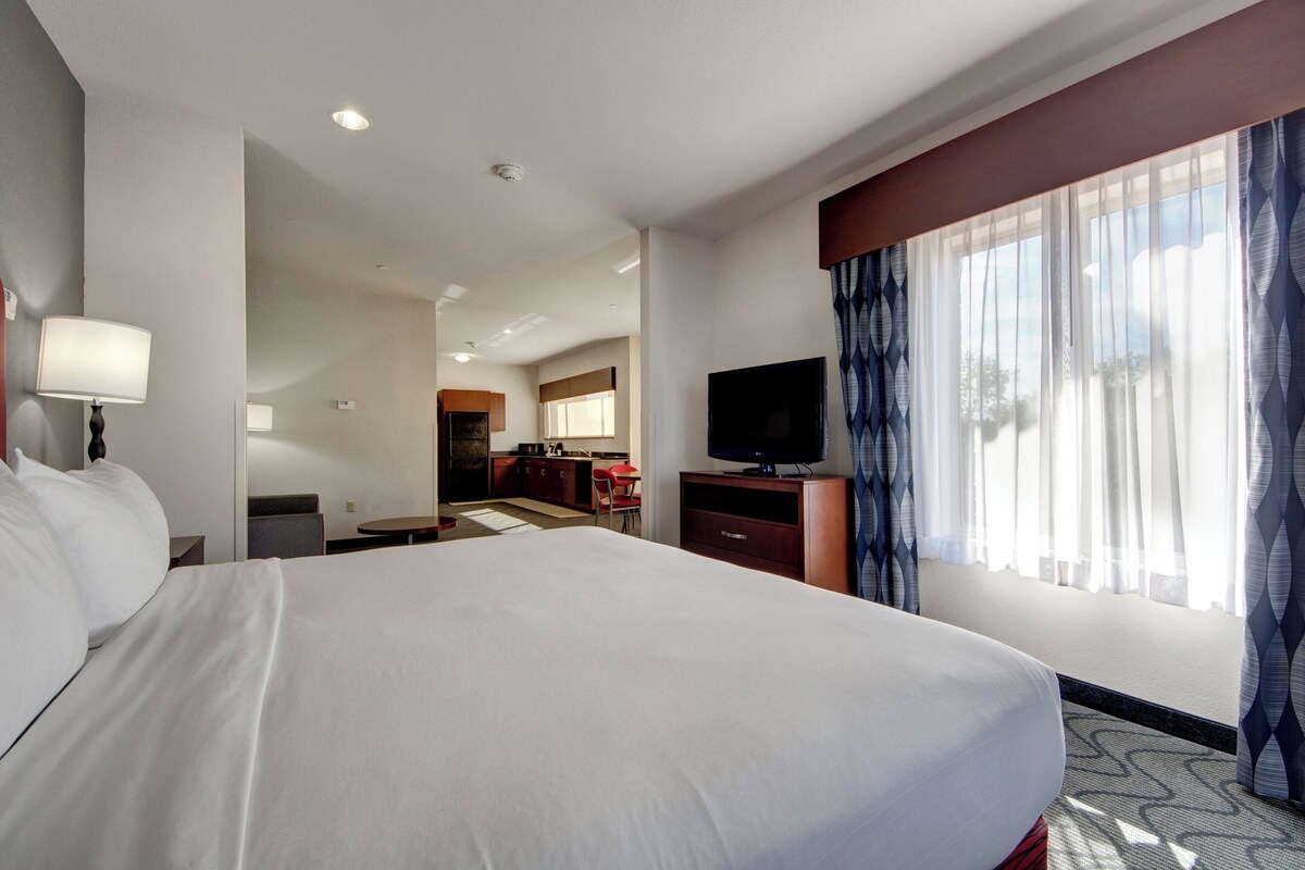 Habitación de hotel con una cama grande, televisión, escritorio y vistas al exterior a través de la ventana.