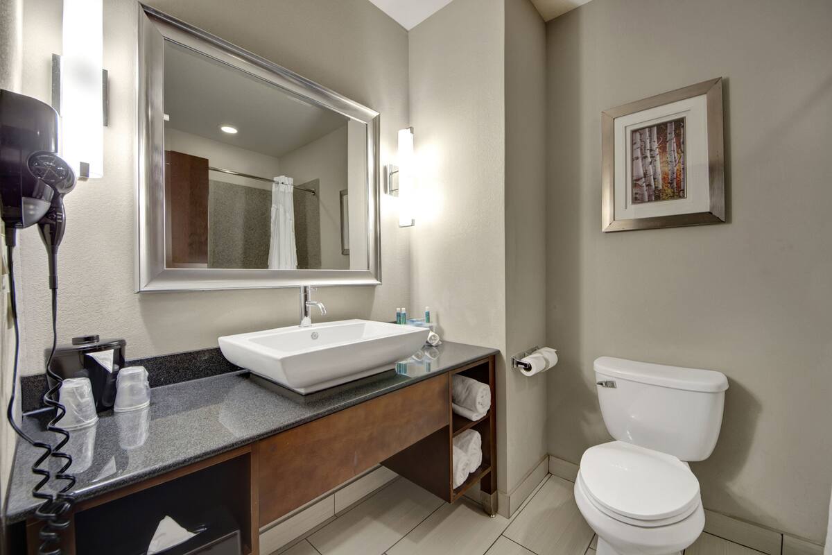 combined shower/bathtub, free toiletries, hair dryer, towels