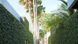 A narrow pathway flanked by tall palm trees and dense hedges, leading towards a building with a modern architectural style. - Kembali Villas (Seminyak)