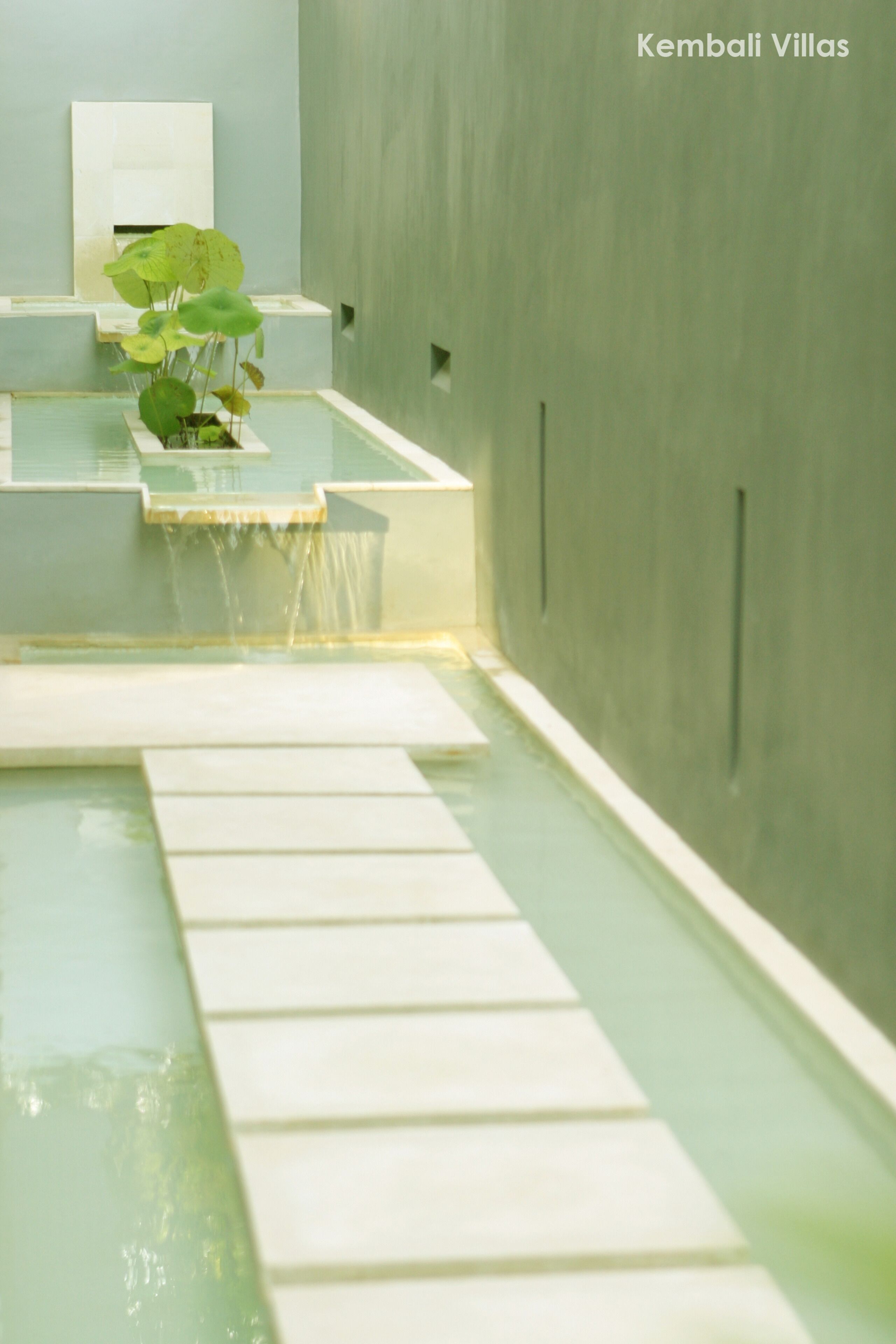 A modern indoor pool area with a clear pathway leading to the water, a potted plant, and a wall-mounted mirror.