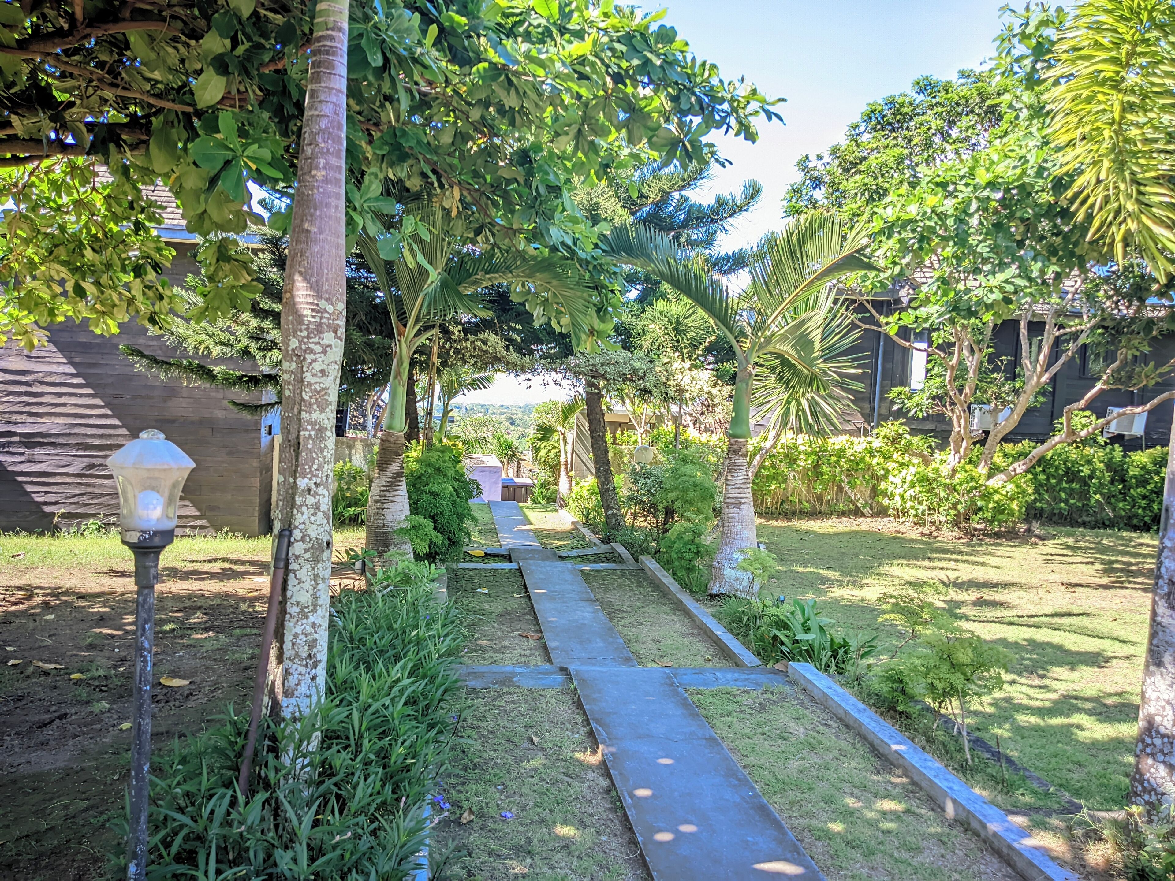A garden pathway with a lamp post, surrounded by various plants and trees.
