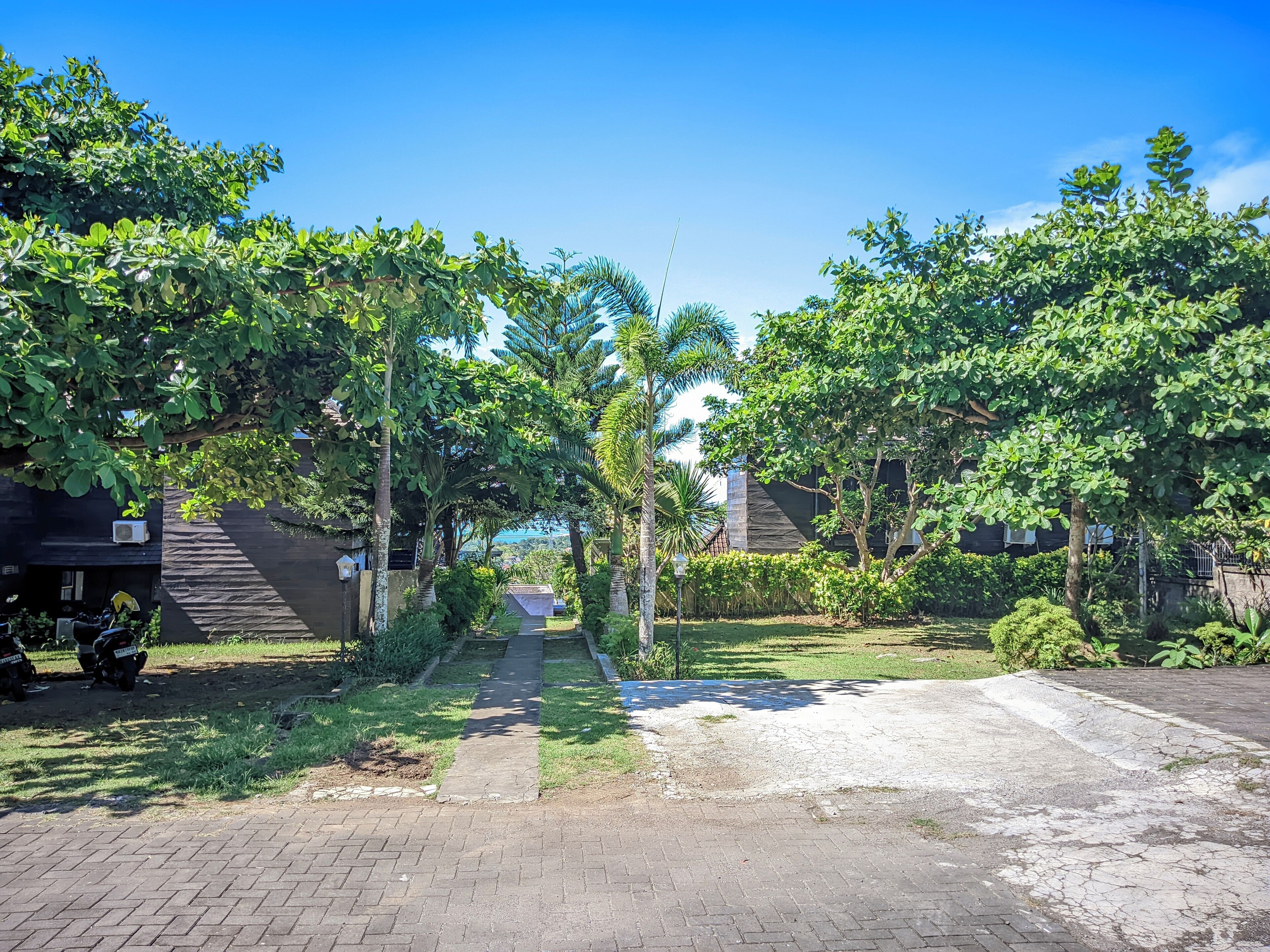 A paved pathway flanked by lush greenery and trees, leading to a building with a dark facade.