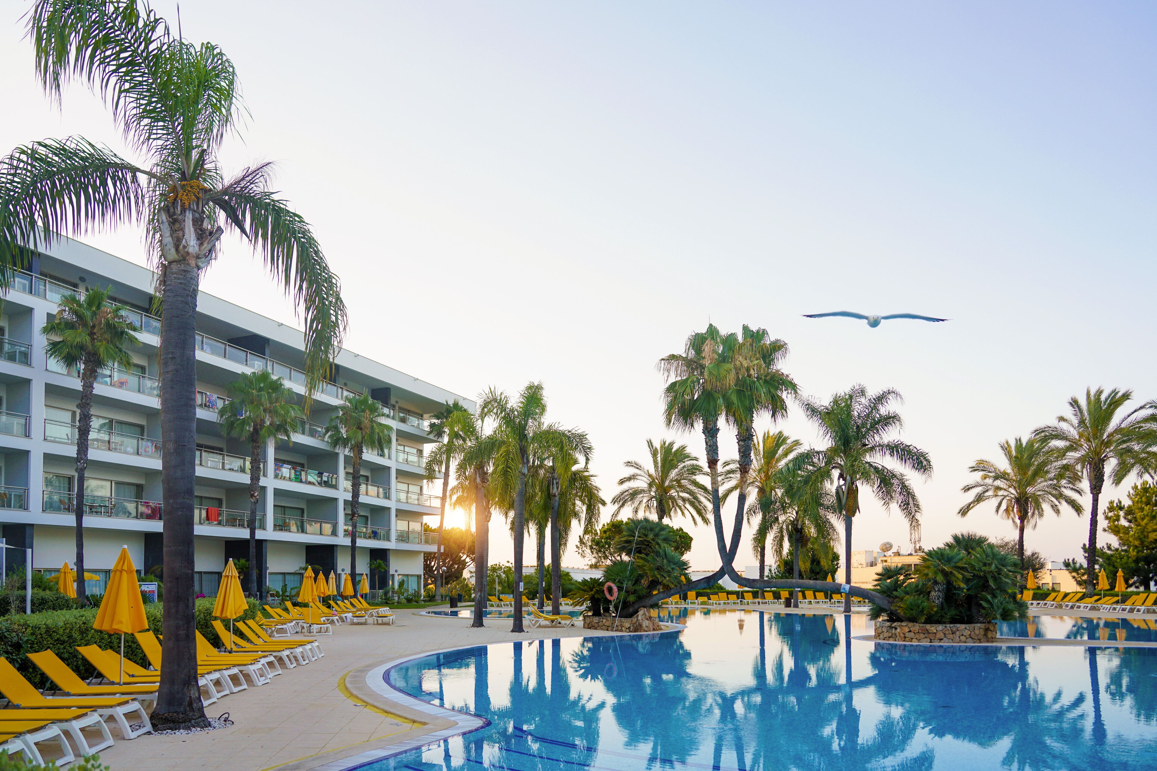 Zona de piscina en un resort, con tumbonas, palmeras y un edificio con balcones.