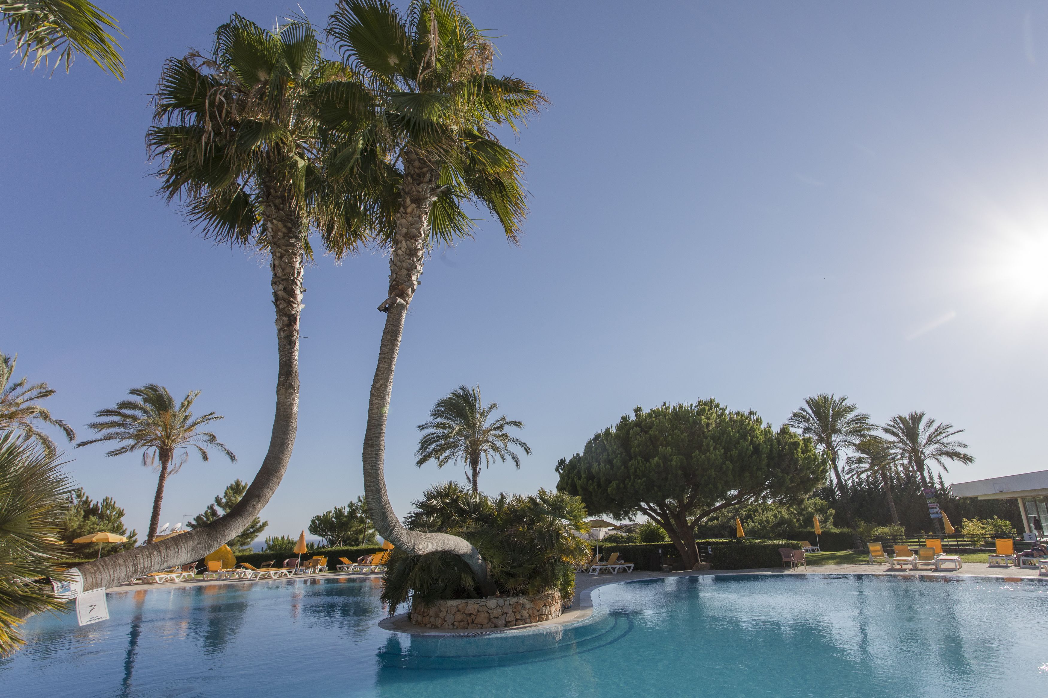 Ein Poolbereich mit Palmen, Liegestühlen und blauem Himmel.