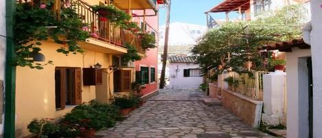 Vista desde la propiedad