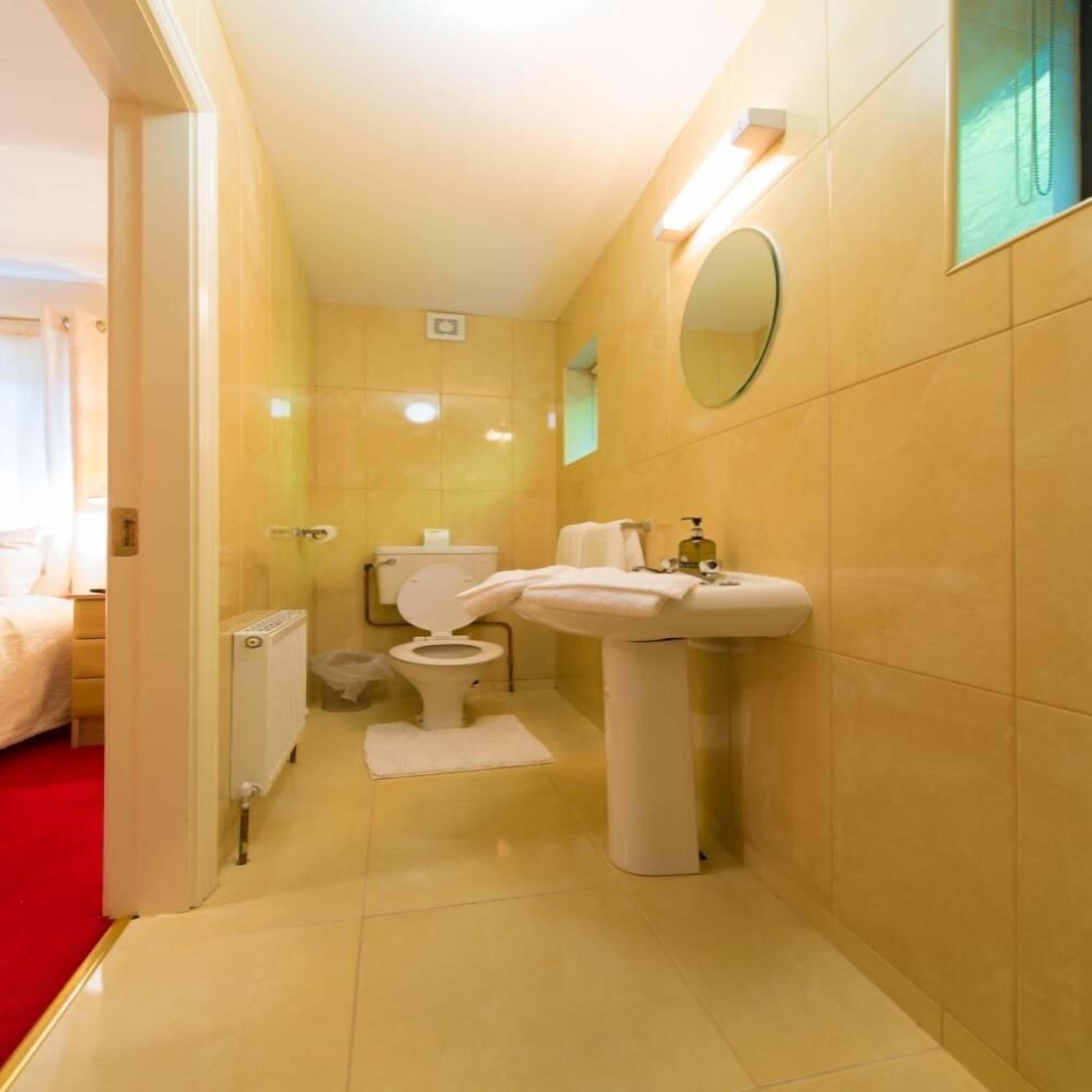 A bathroom with a toilet, sink, and mirror.