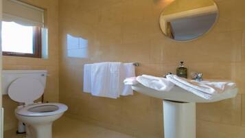A bathroom with a toilet, sink, and a mirror.