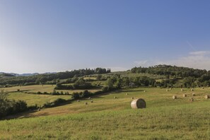 Paisaje rural con colinas ondulantes, fardos de heno dispersos y un cielo azul despejado.