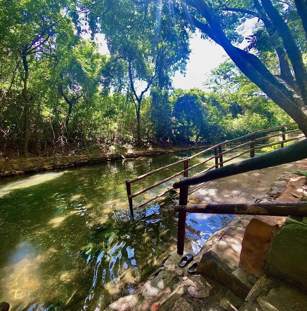 A stone bridge over a clear river, surrounded by dense green foliage. - IMG Hotel Rio Quente (Rio Quente)