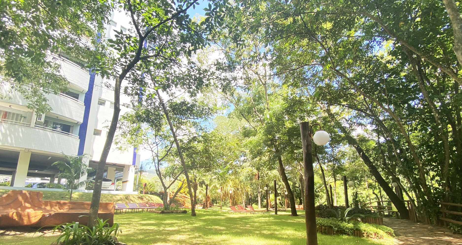 A park with trees, benches, and a pathway.