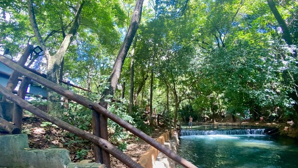 Eine Holzbrücke über einem klaren Bach in bewaldeter Landschaft, mit steinernen Stufen, die hinaufführen.