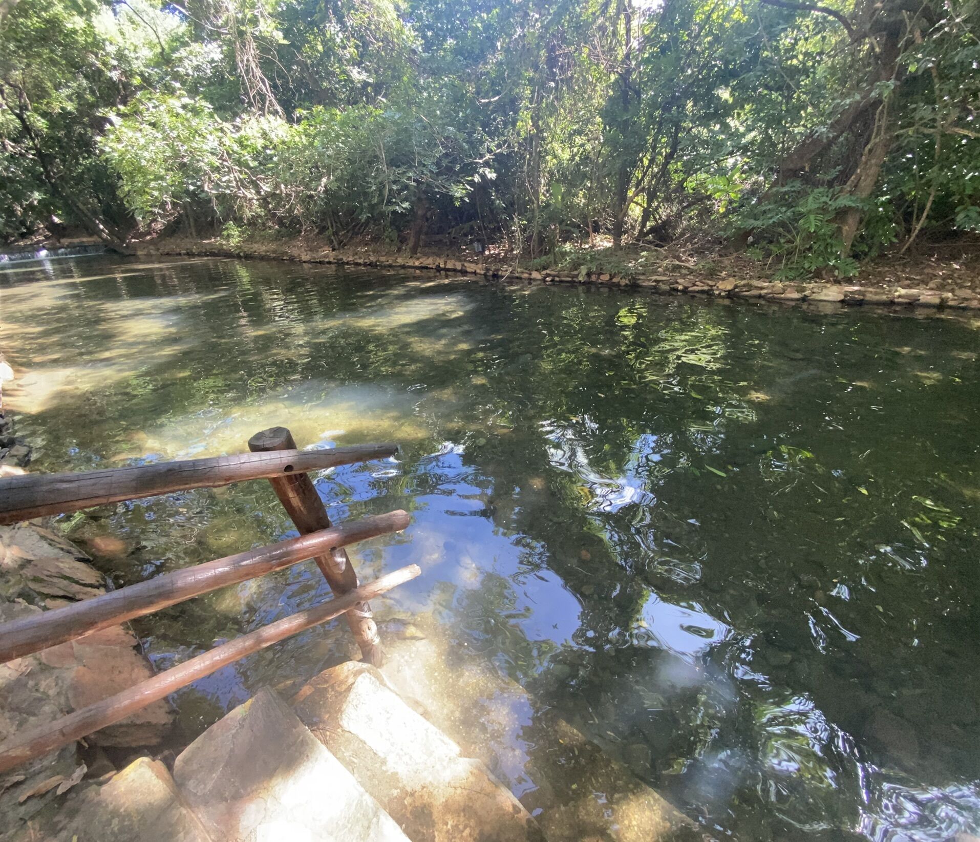 Un pont en bois enjambe une rivière aux eaux claires, le tout étant entouré d’une végétation luxuriante.