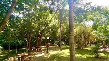 Un parque con mesas de picnic y un árbol grande al frente.