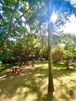 Un parque con mesas de picnic y un árbol grande al frente.