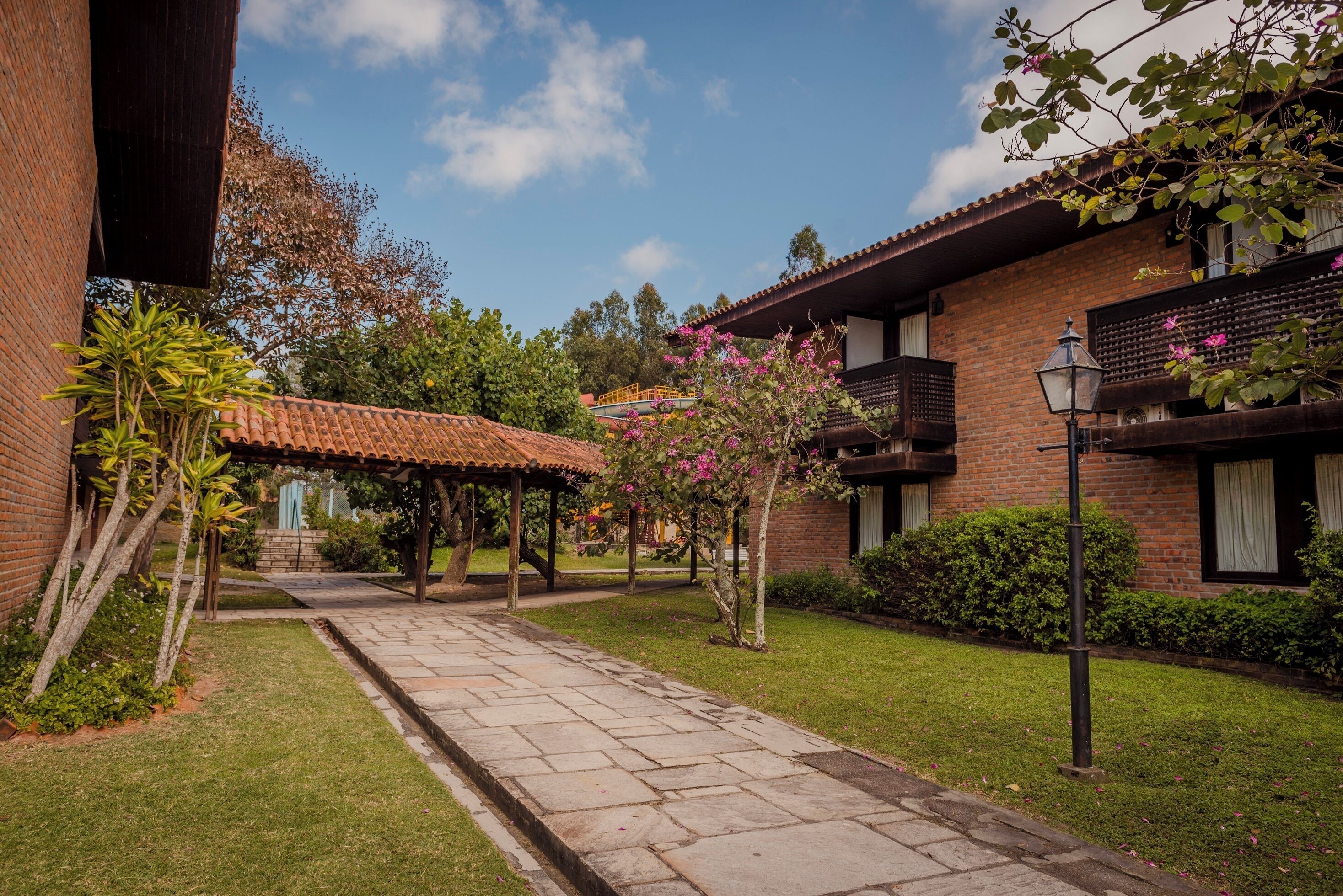 Taman
