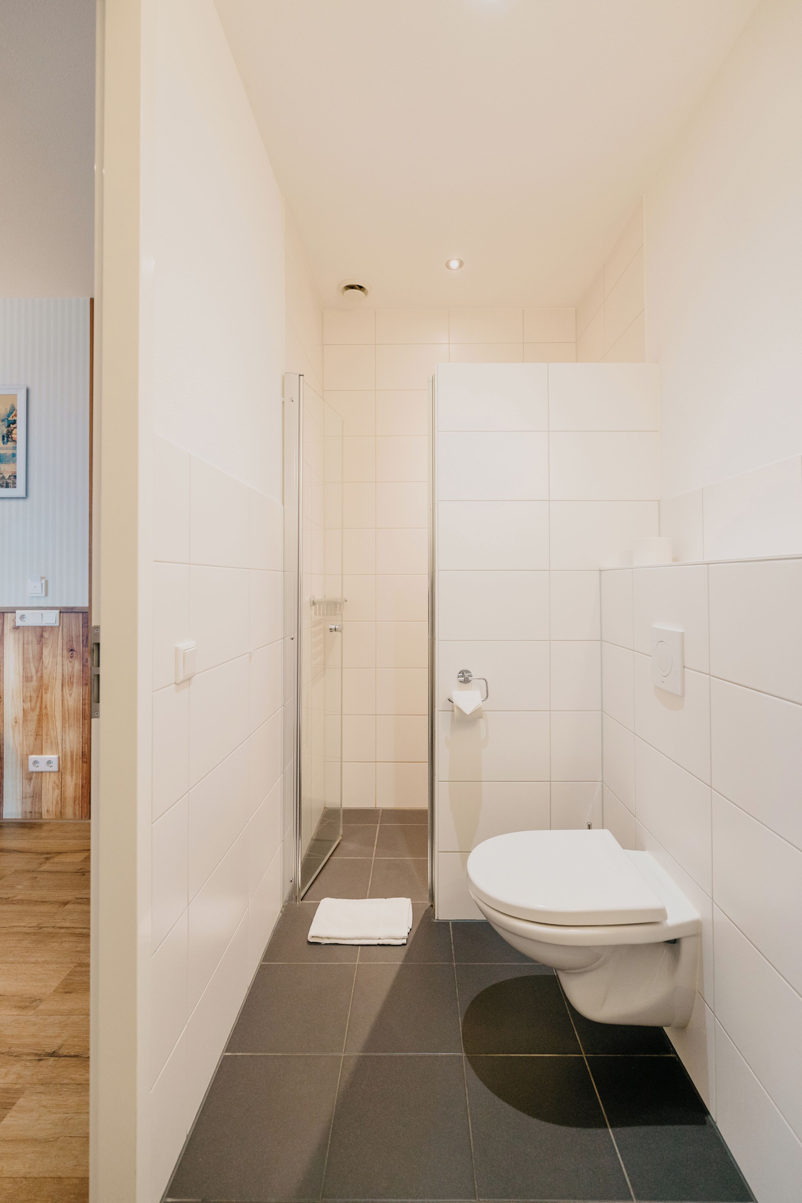A modern bathroom with a shower, toilet, and a small rug on the floor.
