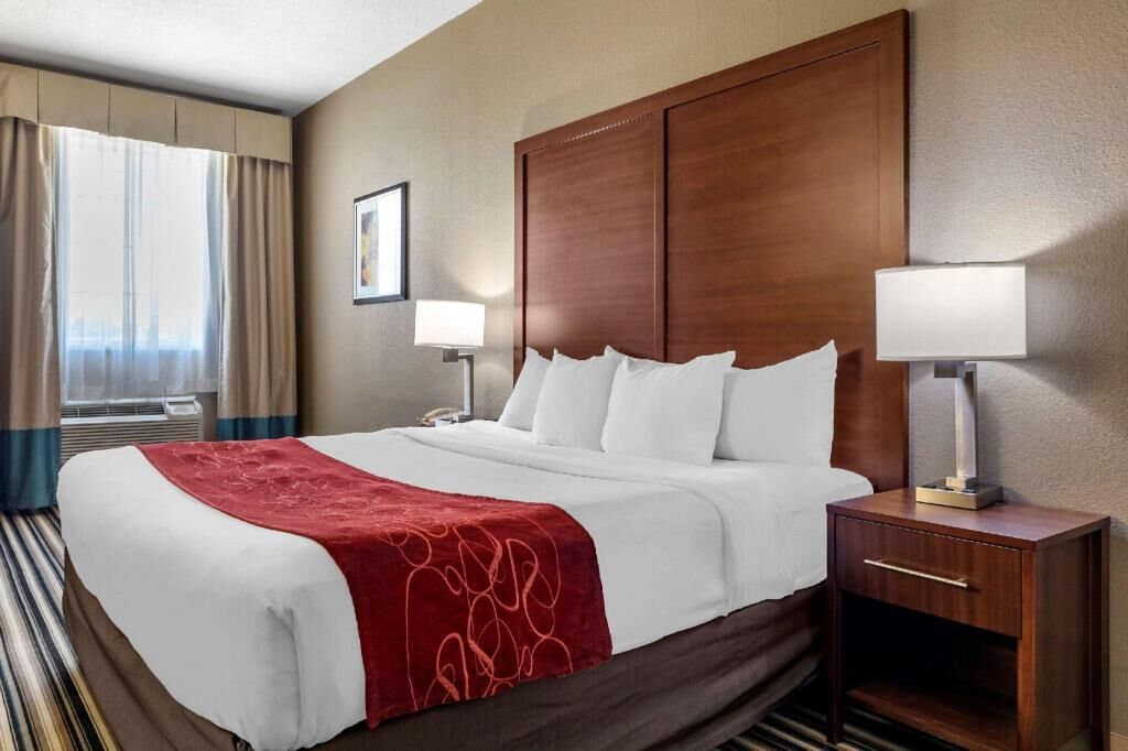 Egyptian cotton sheets, premium bedding, down comforters, pillowtop beds