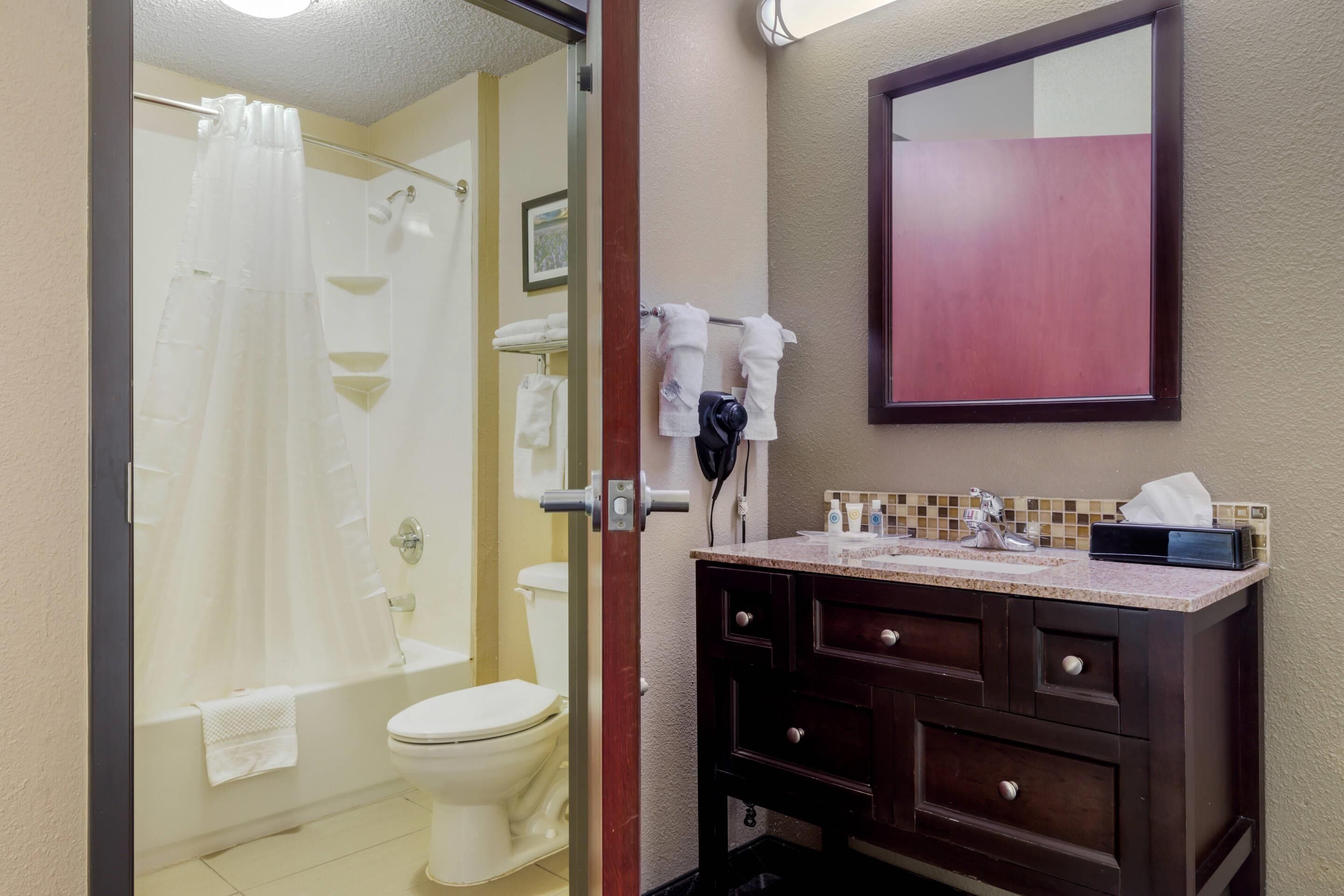 A bathroom with a shower, toilet, and vanity with a mirror.