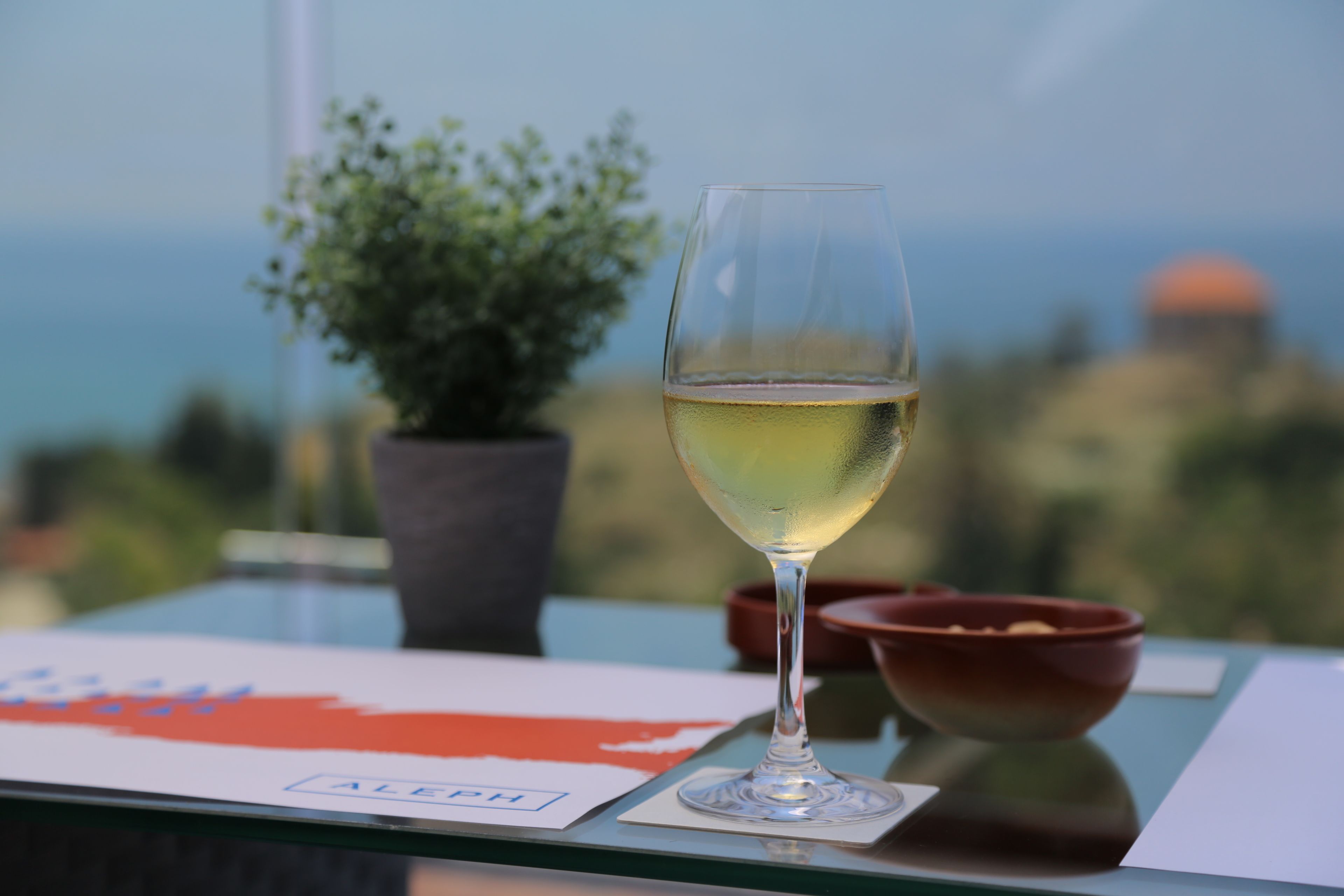 A glass of white wine on a table with a map and a potted plant in the background.