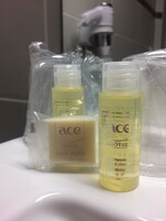 Combined shower/tub, free toiletries, hair dryer, towels