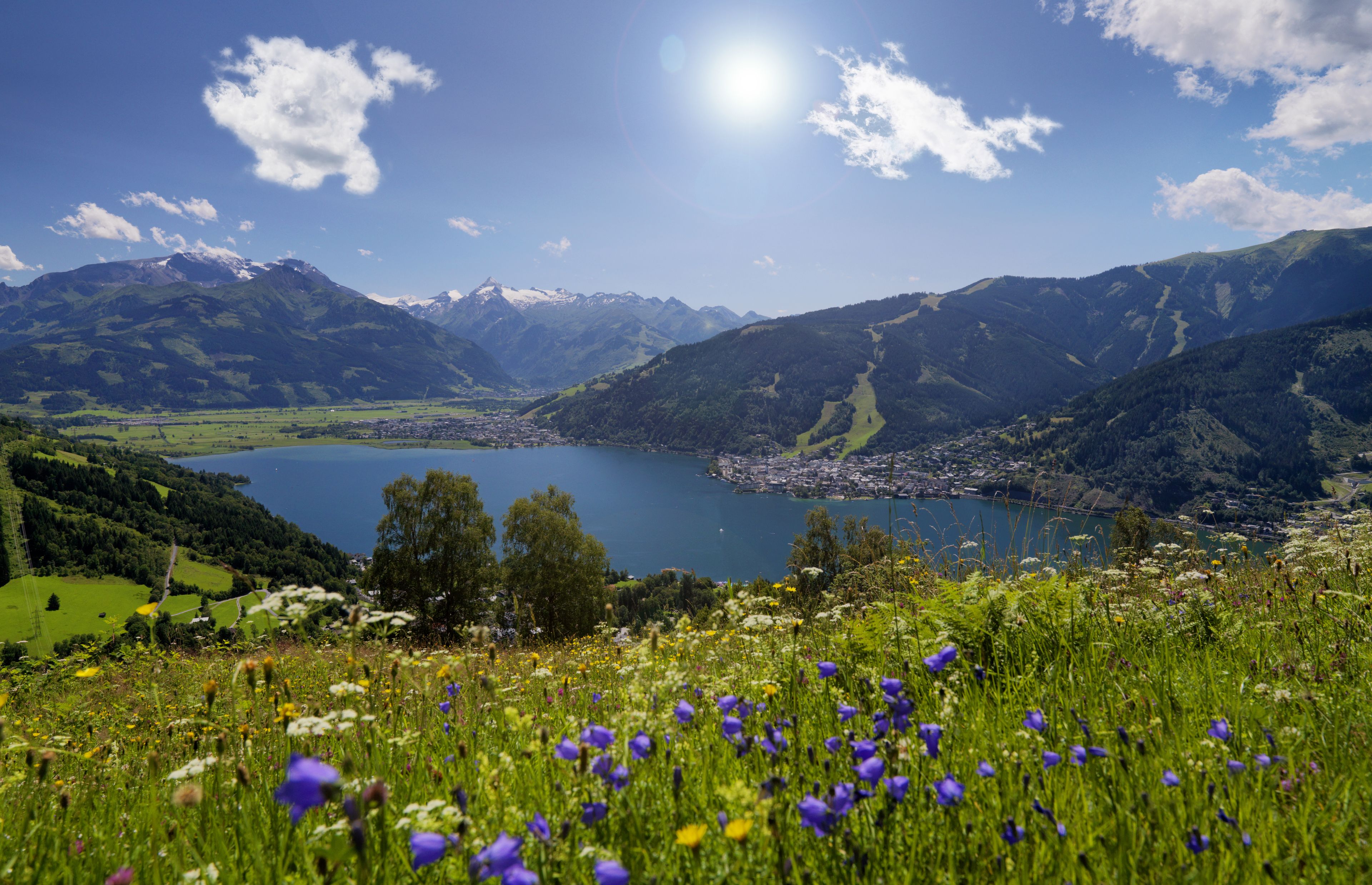 A mountainous landscape with a lake, green fields, and wildflowers.