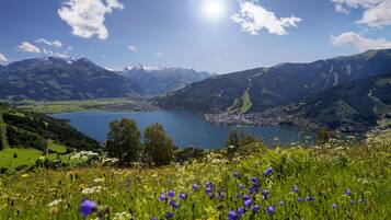 A mountainous landscape with a lake, green fields, and wildflowers.