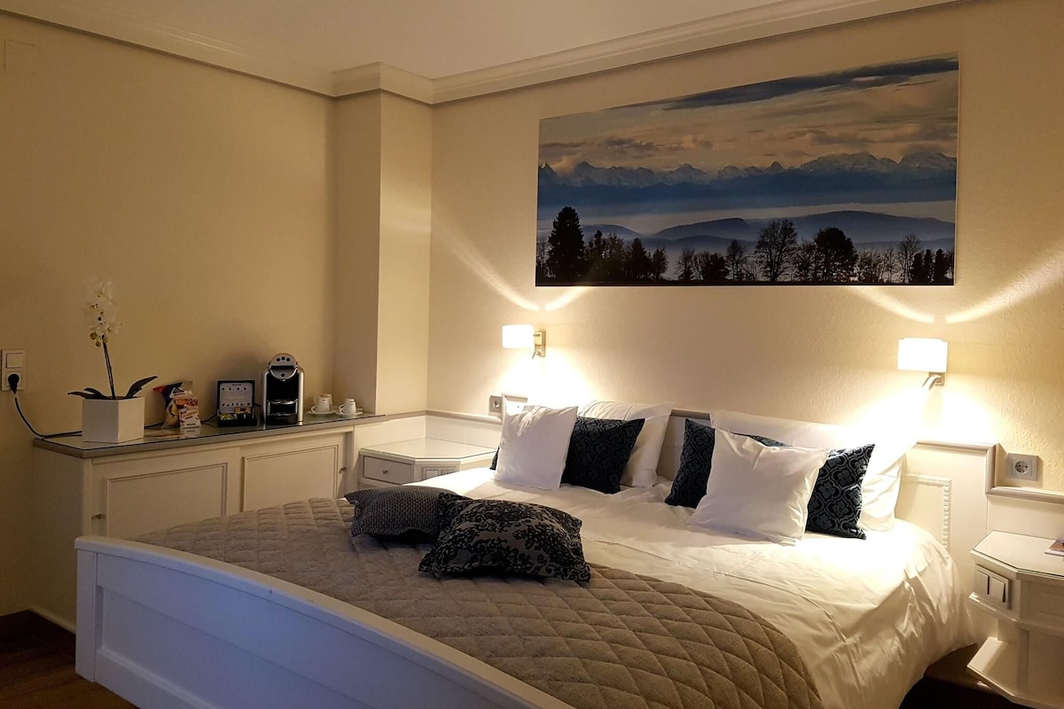 A hotel room with a bed, bedside tables, a nightstand, a wall-mounted painting, and a small potted plant.