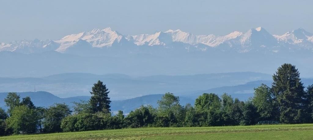 Eine Berglandschaft mit schneebedeckten Gipfeln im Hintergrund und grünen Feldern und Bäumen im Vordergrund.