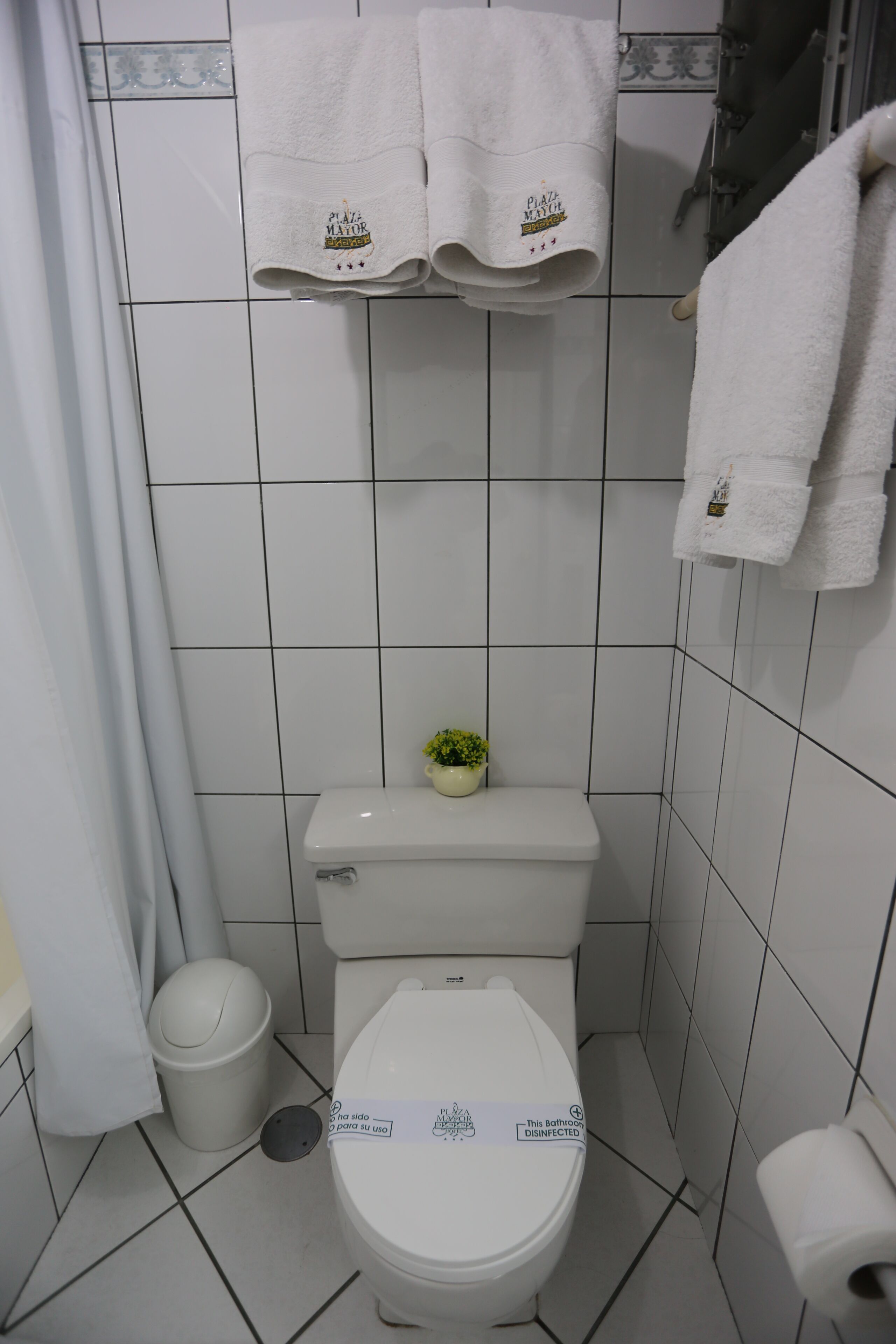 separate bathtub and shower, hair dryer, towels, soap