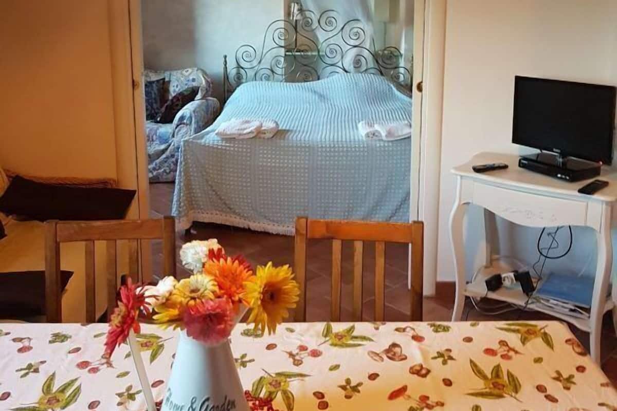 Une chambre à coucher avec un lit, une table de chevet sur laquelle se trouve une télévision, une chaise et une table ornée d’un vase de fleurs.