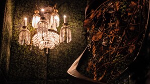 A spiral staircase with a chandelier, surrounded by ivy and leaves.