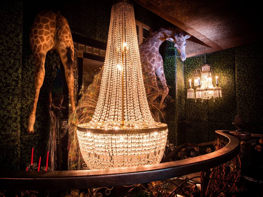 Un lampadario con più luci, giraffe e una lampada a parete.