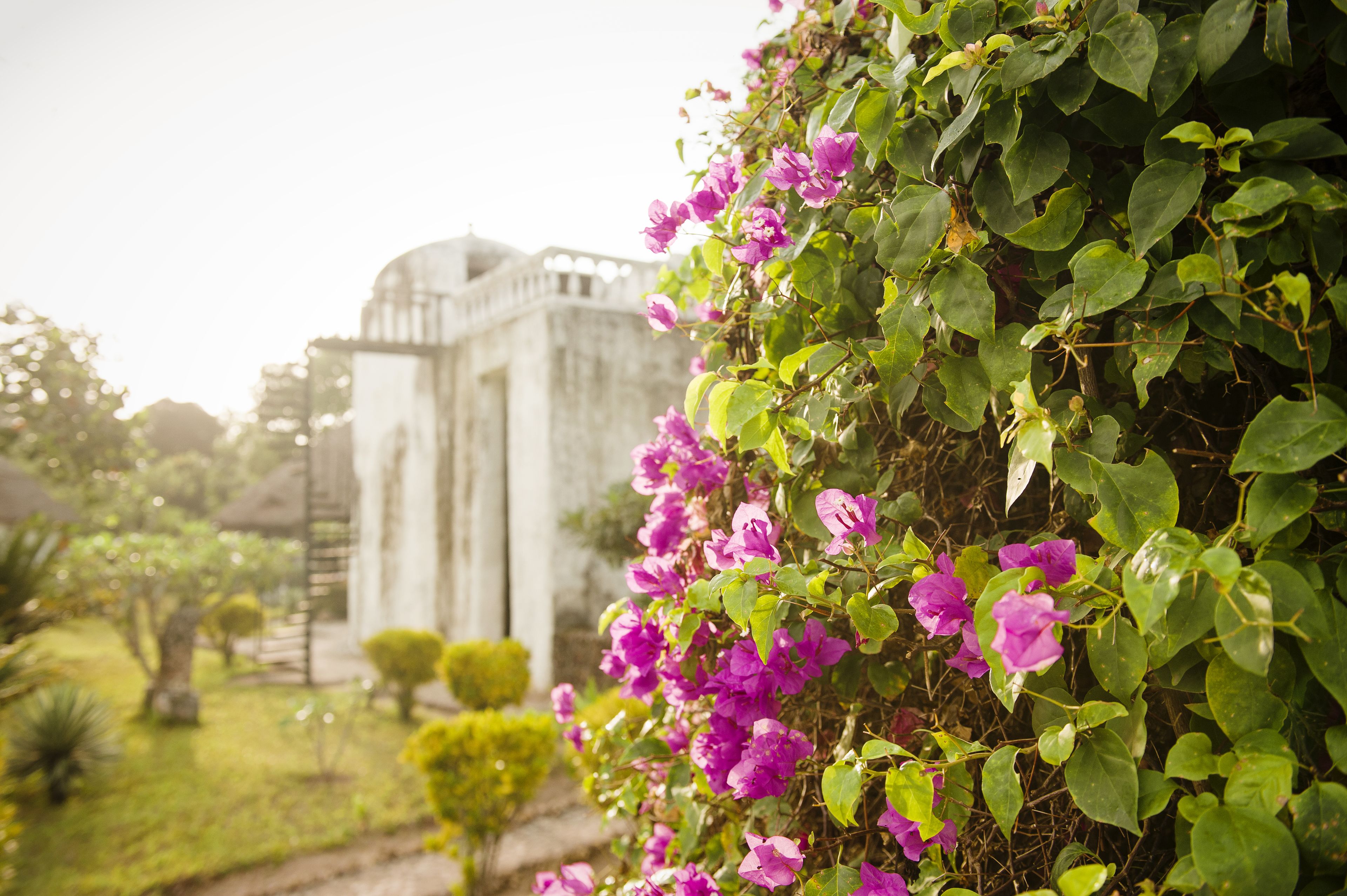 Foto - Chuini Zanzibar Lodge by NEWMARK