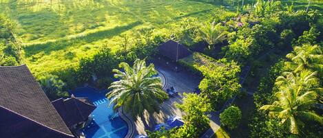 An aerial view of a resort with a swimming pool, palm trees, and lush greenery.