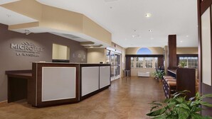 A reception area with a reception desk, a large window, and a plant.