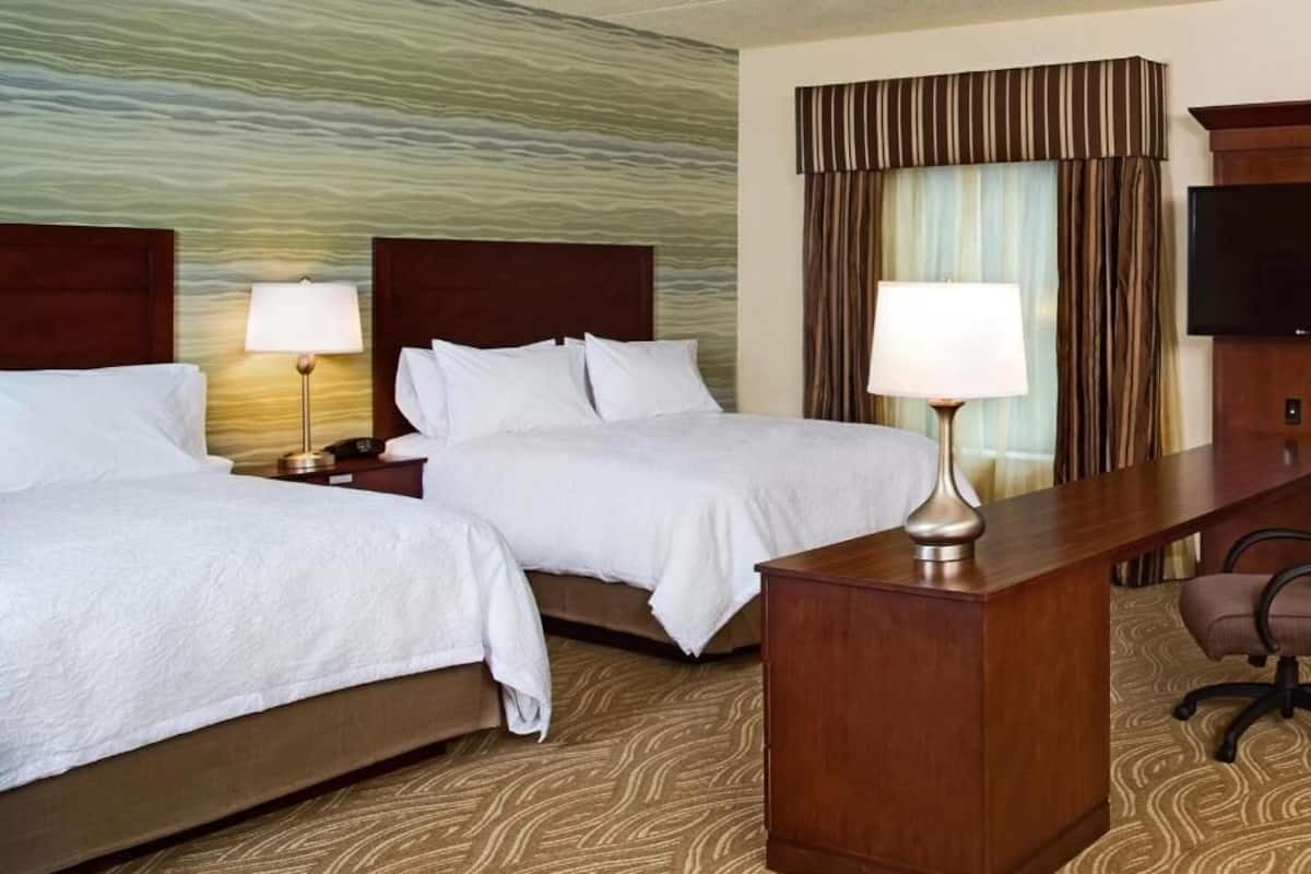 A hotel room with two beds, a desk, a chair, a TV, and a patterned carpet.