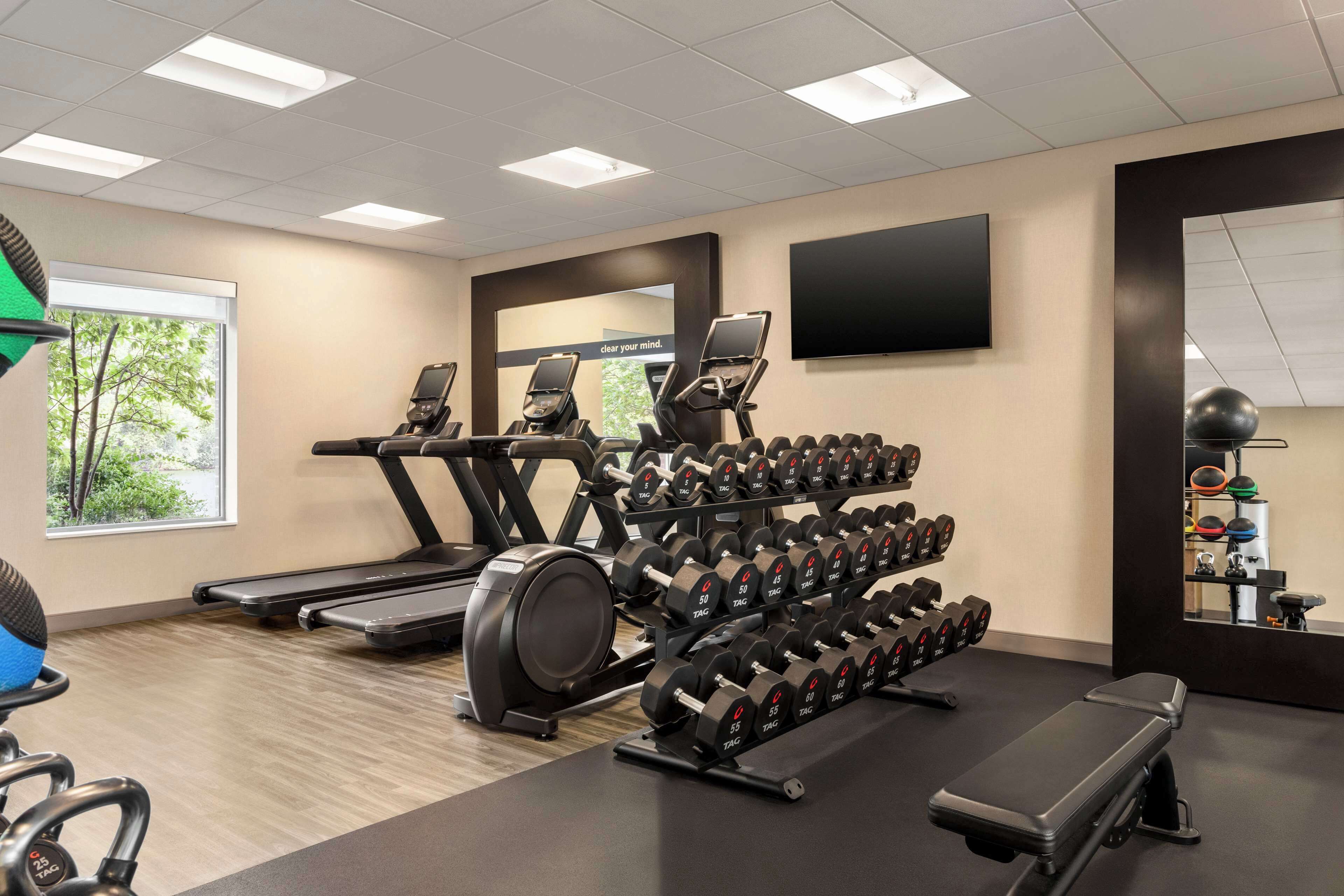 A gym with treadmills, elliptical machines, dumbbells, and a bench.